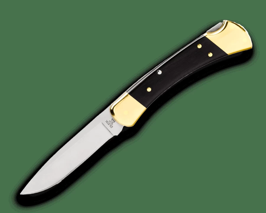Buck Knives 110 Folding Hunter Knife - Drop Point Blade, Lockback, Durable & Compact Hunting EDC Knife