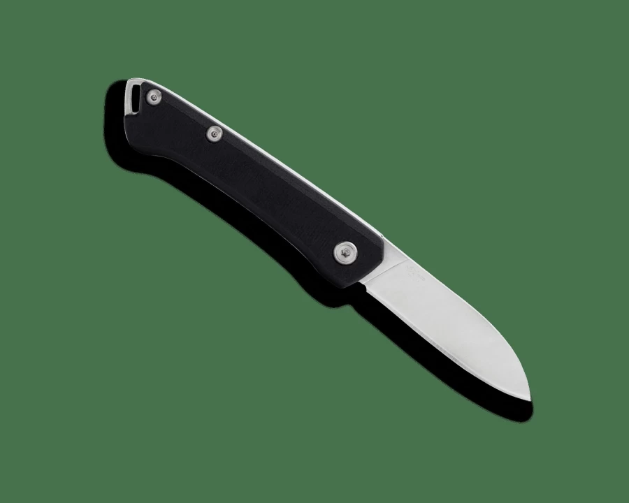 Buck Knives 250 Saunter Drop Point Hunting Knife - High-Quality Fixed Blade for Outdoor Survival