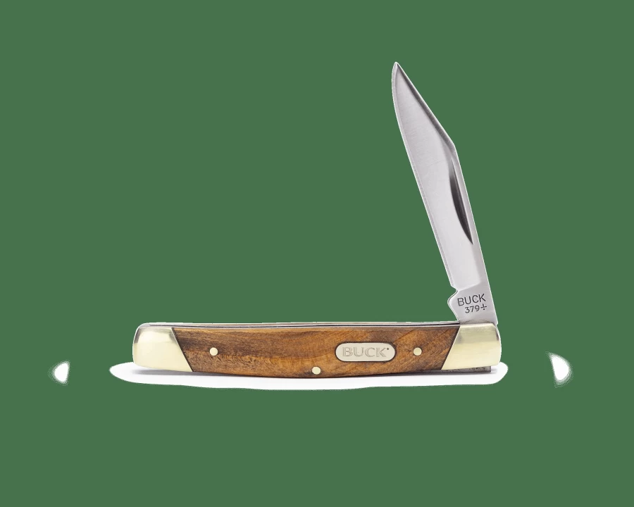 Buck Knives 379 Solo Fixed Blade Hunting Knife - High Carbon Steel, Ergonomic Handle, Durable Sheath