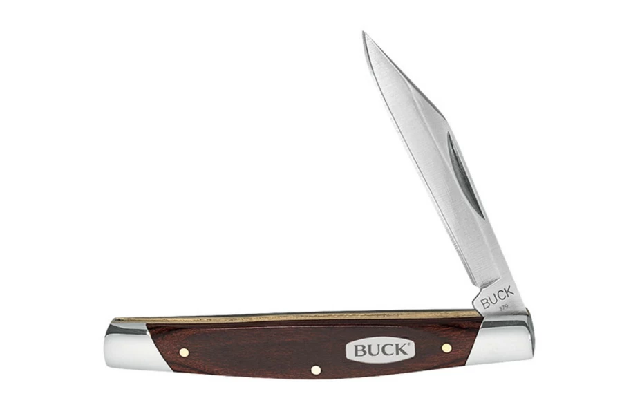 Buck Knives 379 Solo Fixed Blade Hunting Knife - High Carbon Steel, Ergonomic Handle, Durable Sheath
